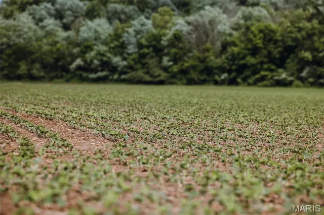 $131,000 | 0 Shawneetown Ford Spur, Union, MO 63084