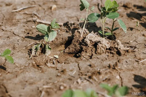 $131,000 | 0 Shawneetown Ford Spur, Union, MO 63084