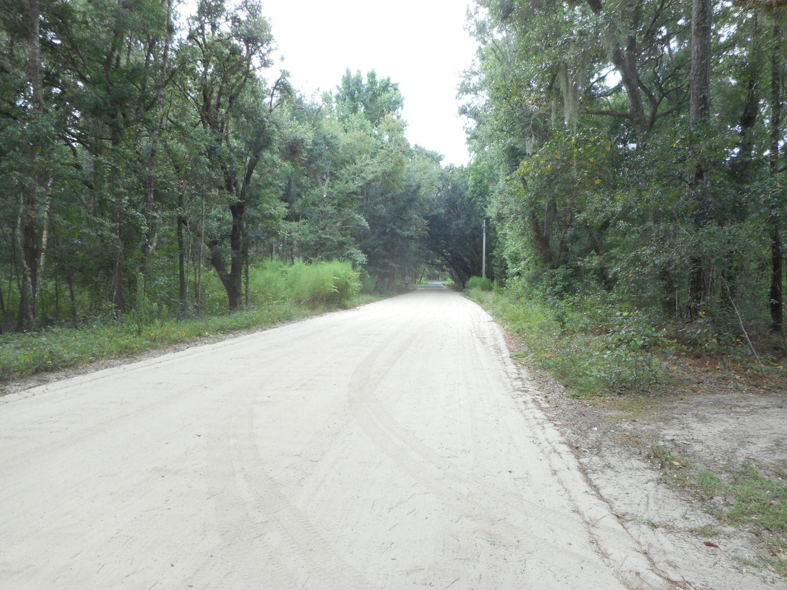 7738 Oak Island Road Edisto Island, SC 29438 - Photo 21 of 33 7738 Oak Island Rd (5)