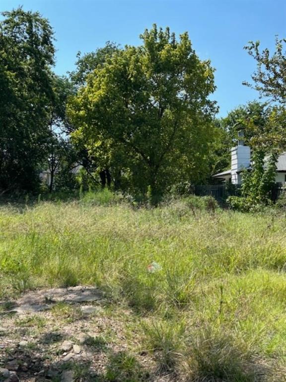 306 South Pecan Street Bells, TX 75414 - Photo 9 of 9 a fire hydrant in the middle of a field