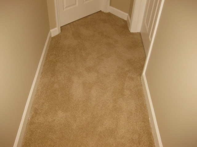 1705 Pavilion Way, Unit 303 Park Ridge, IL 60068 - Photo 11 of 22