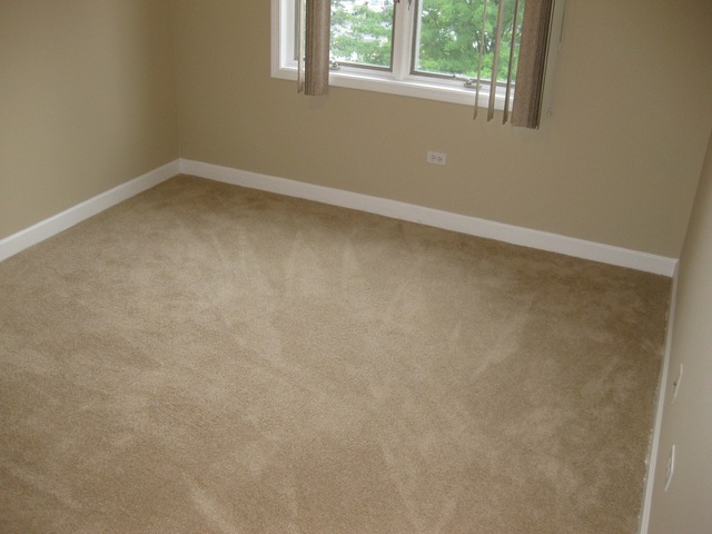 1705 Pavilion Way, Unit 303 Park Ridge, IL 60068 - Photo 19 of 22