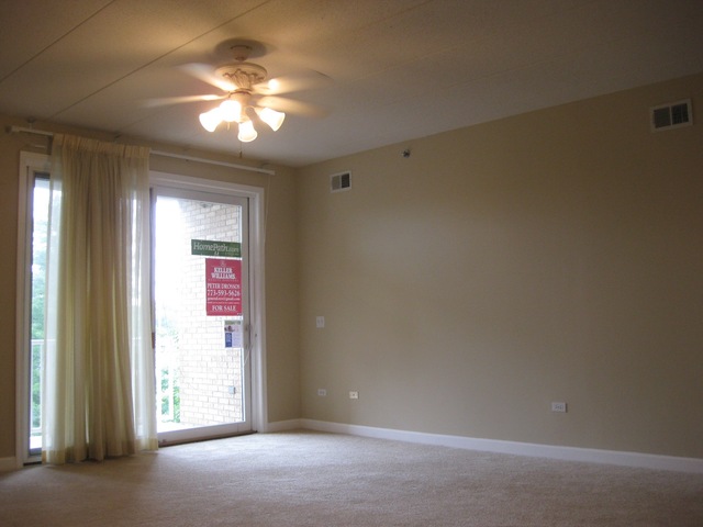 1705 Pavilion Way, Unit 303 Park Ridge, IL 60068 - Photo 4 of 22
