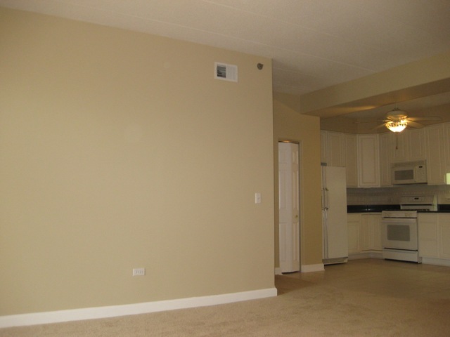 1705 Pavilion Way, Unit 303 Park Ridge, IL 60068 - Photo 5 of 22