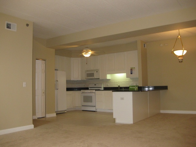 1705 Pavilion Way, Unit 303 Park Ridge, IL 60068 - Photo 6 of 22