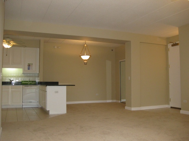 1705 Pavilion Way, Unit 303 Park Ridge, IL 60068 - Photo 7 of 22