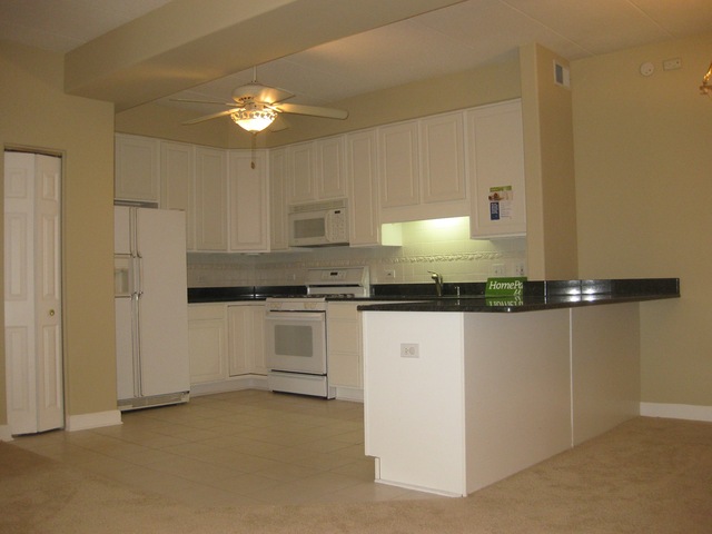 1705 Pavilion Way, Unit 303 Park Ridge, IL 60068 - Photo 8 of 22