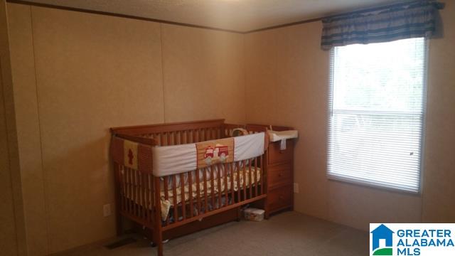1015 Hamilton Road Pell City, AL 35128 - Photo 22 of 37