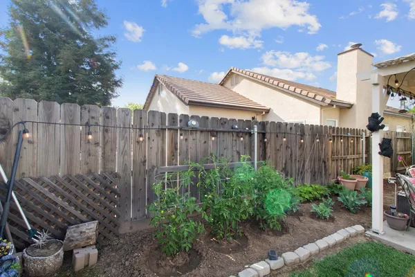 a view of a backyard with plants