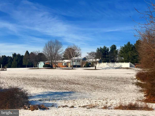 a view of road with trees