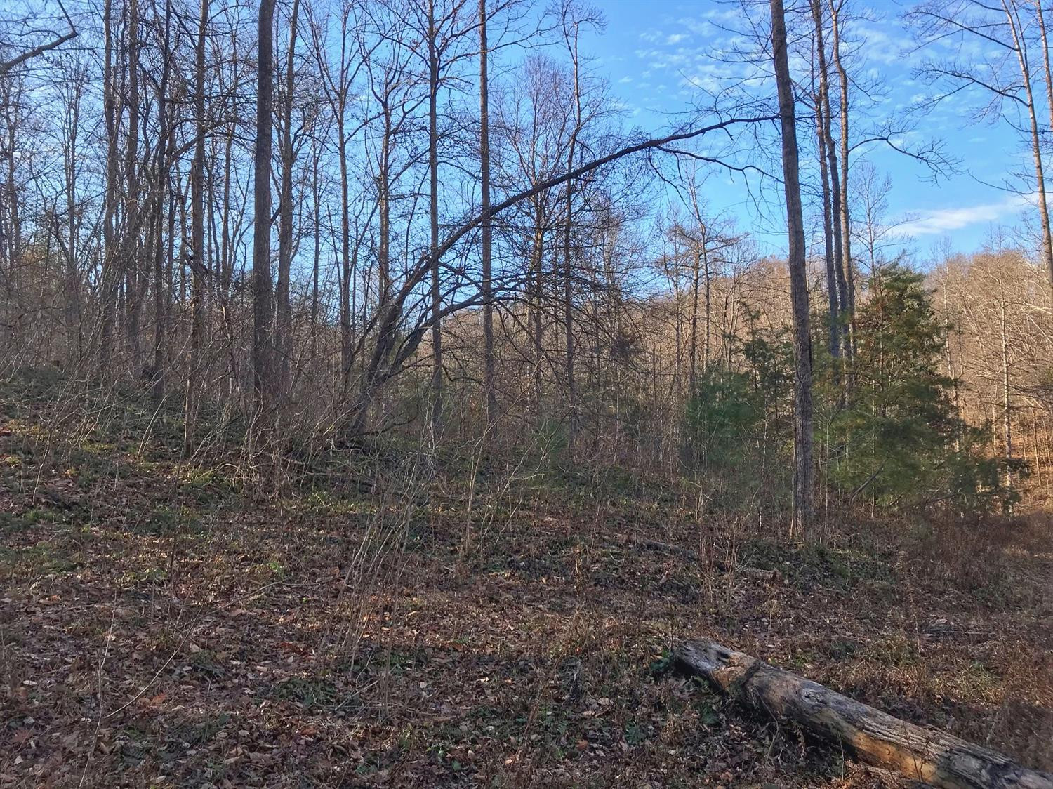 1 Woodward Ridge Road Ravenna, KY 40472 - Photo 15 of 19 Listing Photo