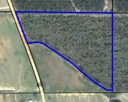 0 Noma Road Slocomb, AL 36375 - Photo 2 of 2