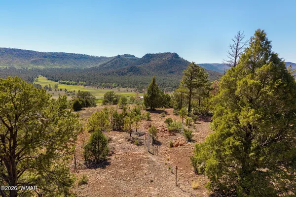 $164,900 | N2280 Nme Lots 47 & 48, Nutrioso, AZ 85932
