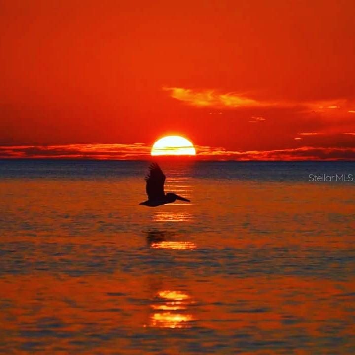 301 South Gulf Boulevard, Unit 25 Placida, FL 33946 - Photo 60 of 68 a view of an ocean beach