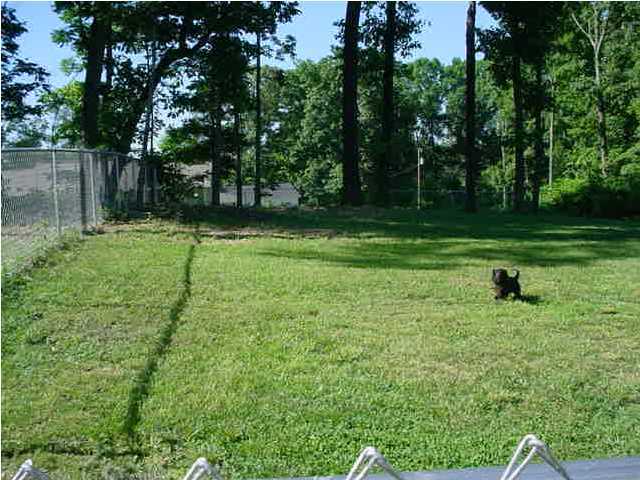 511 Fowler Road Ringgold, GA 30736 - Photo 3 of 9 Additional Photo