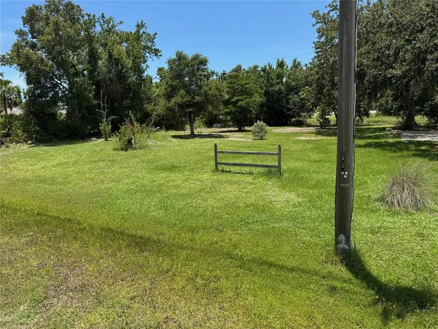 a view of a park with large trees