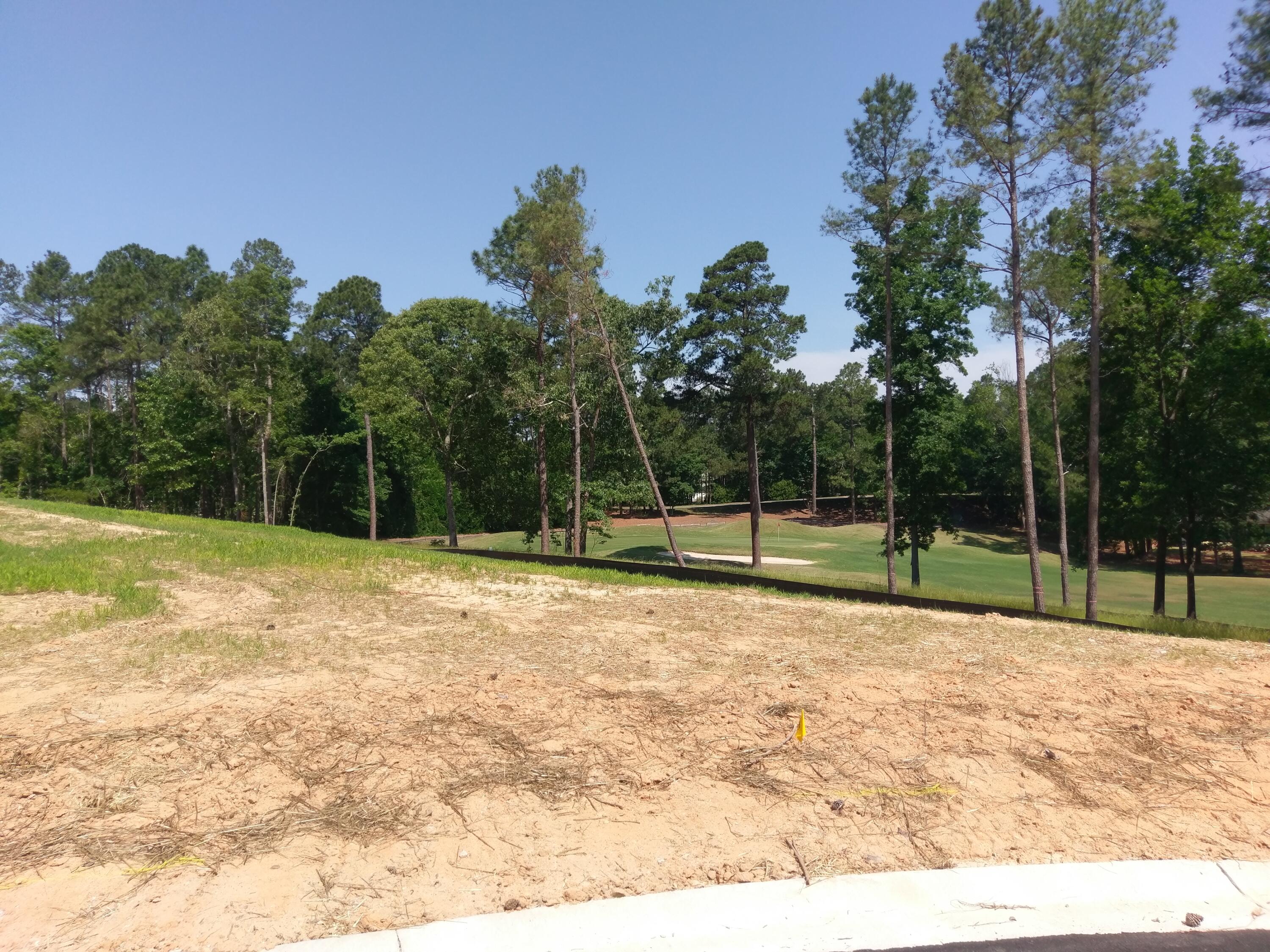 Lot 1 True Cedar Way Aiken, SC 29803 - Photo 1 of 3