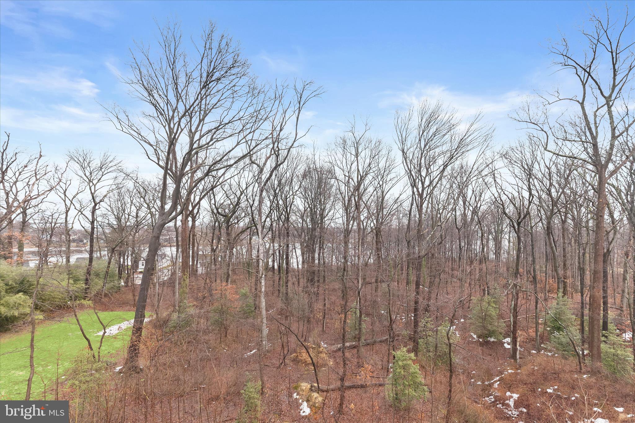 304 Sweetbay Road Essex, MD 21221 - Photo 48 of 66 a view of a yard with large trees