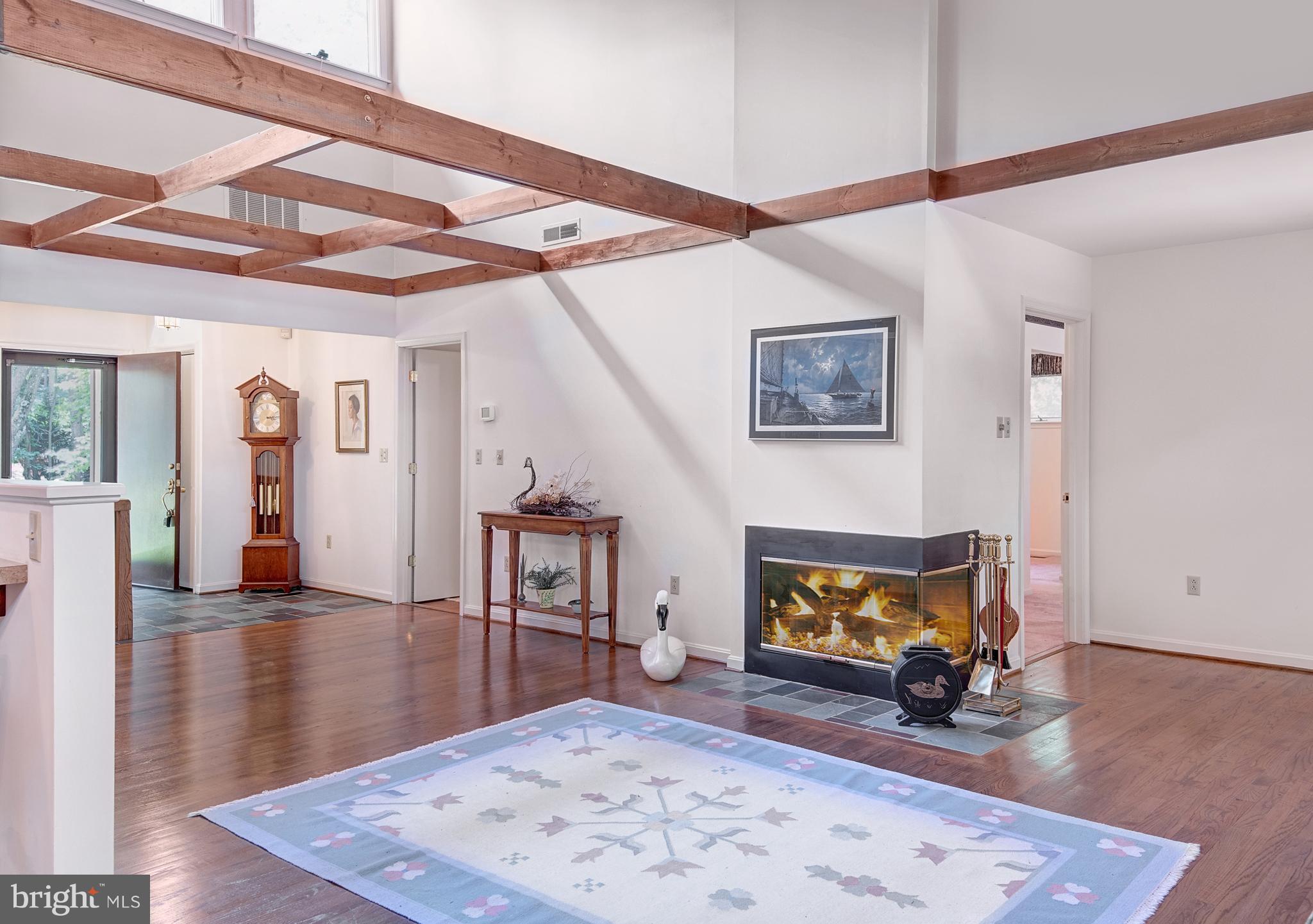 10836 Foreston Road Chestertown, MD 21620 - Photo 7 of 29 Fireplace in Great Room