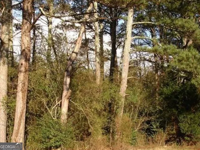 a close up of a plant