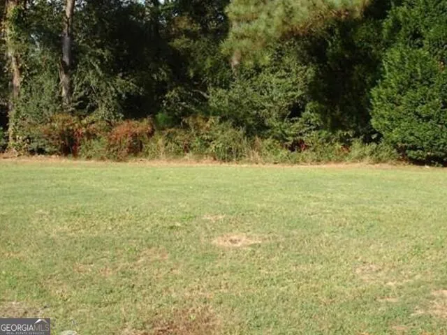 a view of yard with swimming pool and green space