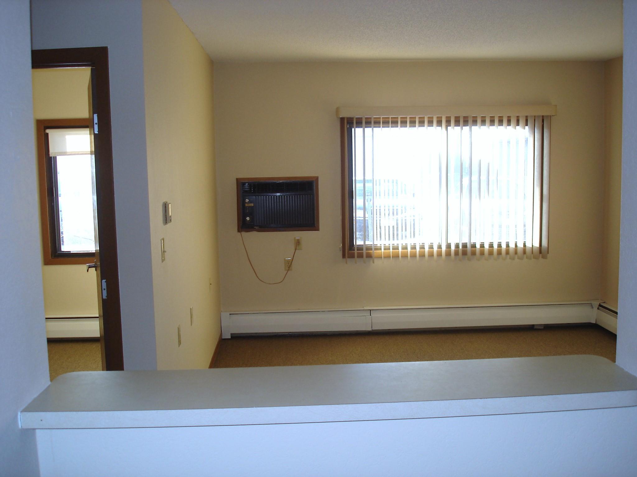 200 1st Avenue, Unit 108 Sacred Heart, MN 56285 - Photo 4 of 10