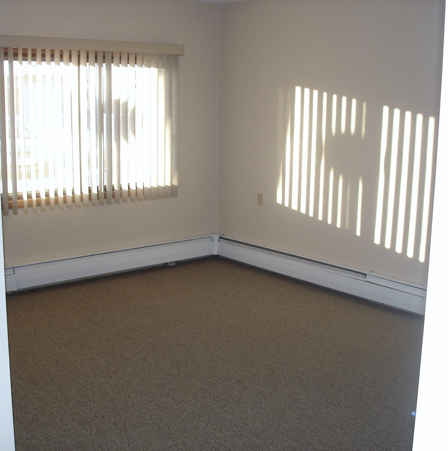 200 1st Avenue, Unit 108 Sacred Heart, MN 56285 - Photo 5 of 10