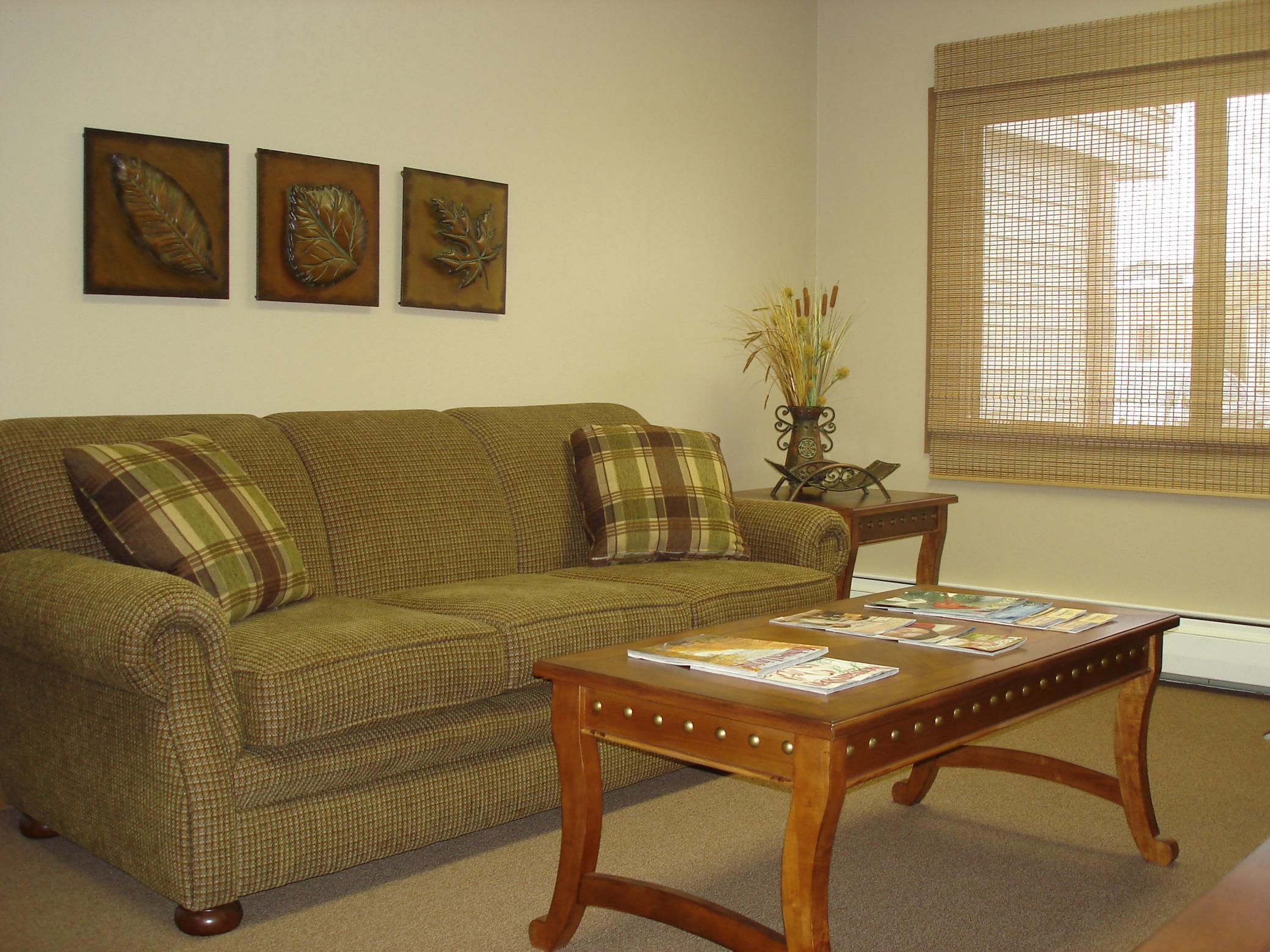 200 1st Avenue, Unit 108 Sacred Heart, MN 56285 - Photo 8 of 10