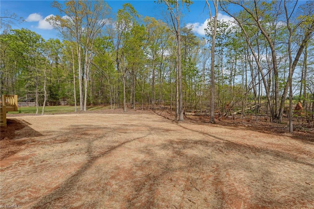 140 Bud Road Reidsville, NC 27320 - Photo 44 of 49