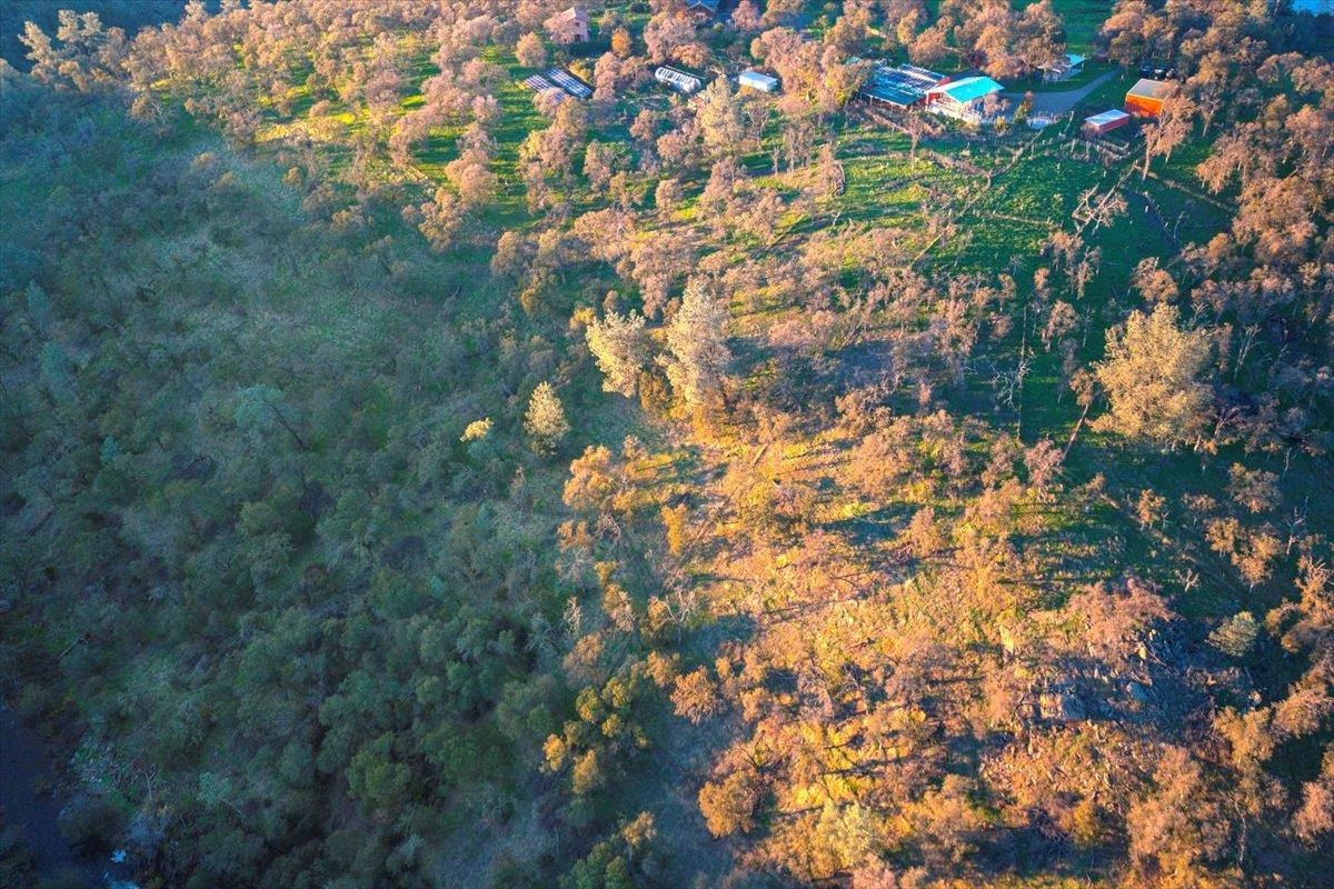 0 Garden Bar Road Lincoln, CA 95648 - Photo 7 of 8 a view of tree