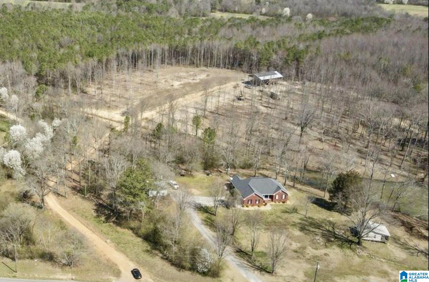 657 Maze Road Arab, AL 35016 - Photo 6 of 18