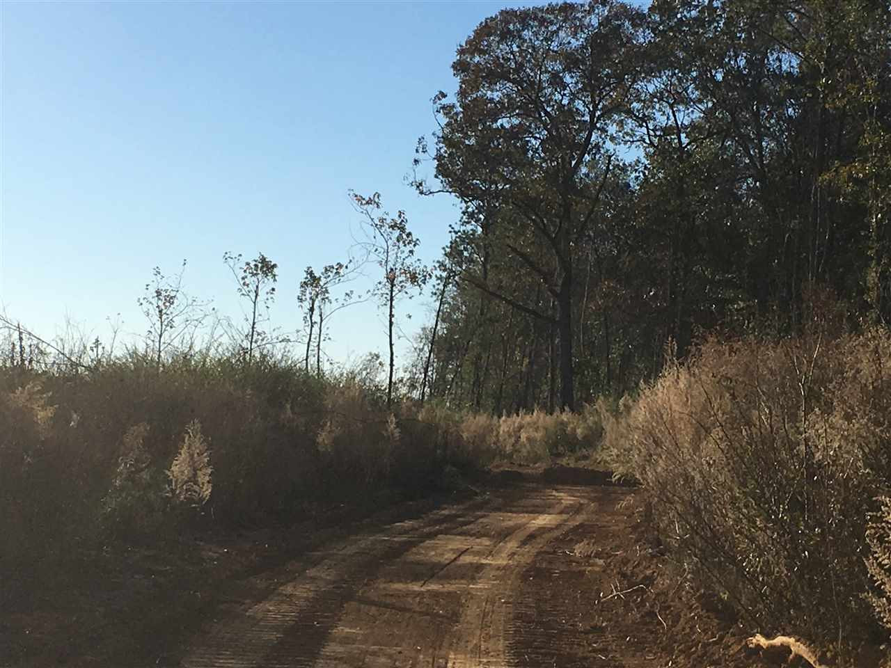 2 Turner Road Forest, MS 39074 - Photo 1 of 9 Photo 1
