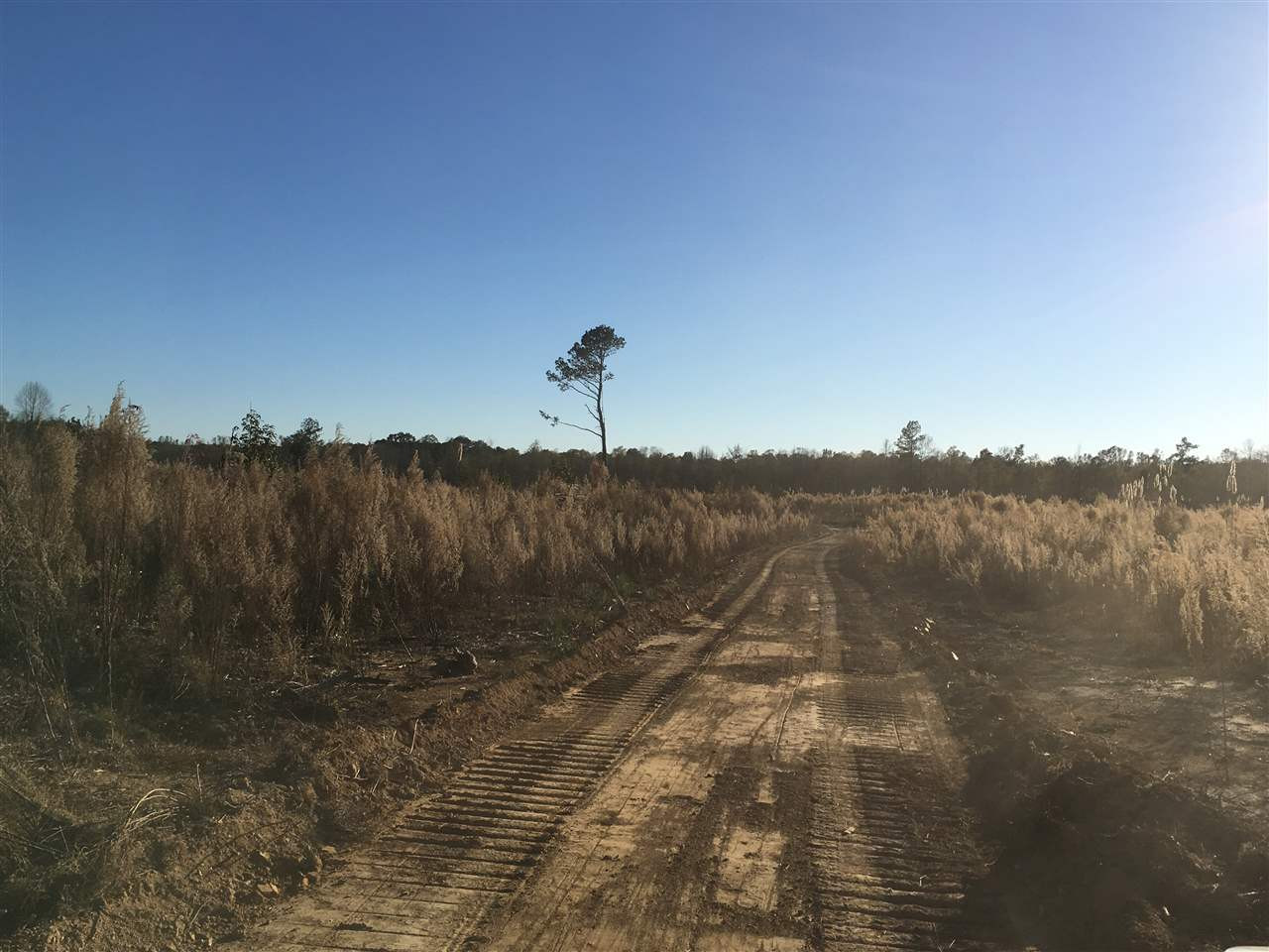 2 Turner Road Forest, MS 39074 - Photo 2 of 9 Photo 2
