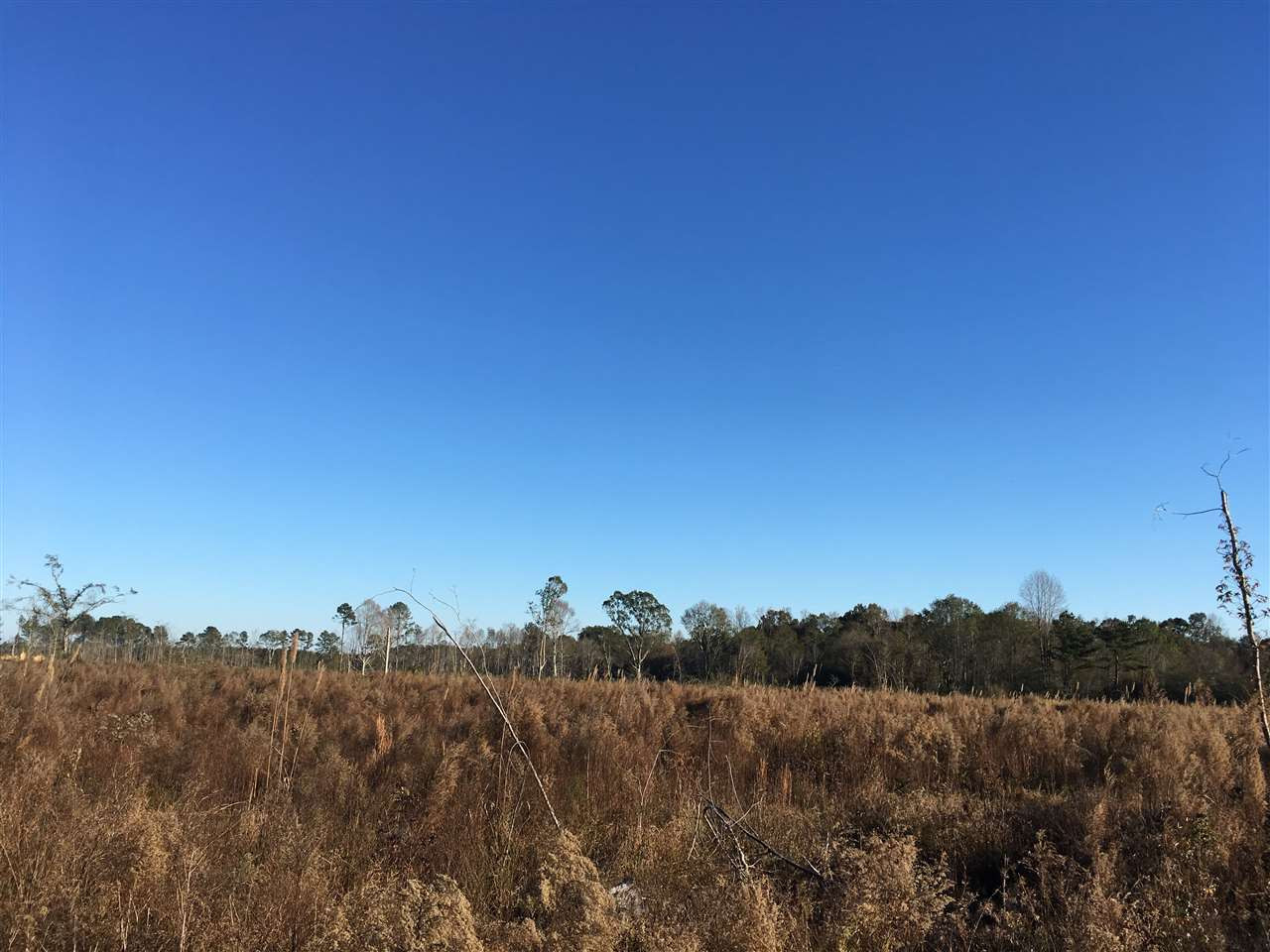 2 Turner Road Forest, MS 39074 - Photo 3 of 9 Photo 3