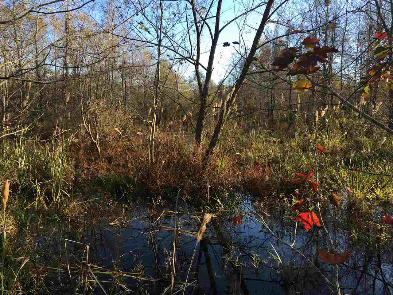 2 Turner Road Forest, MS 39074 - Photo 4 of 9 Photo 4