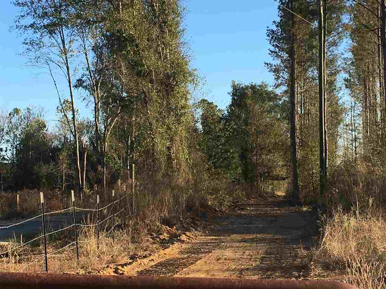 2 Turner Road Forest, MS 39074 - Photo 5 of 9 Photo 5
