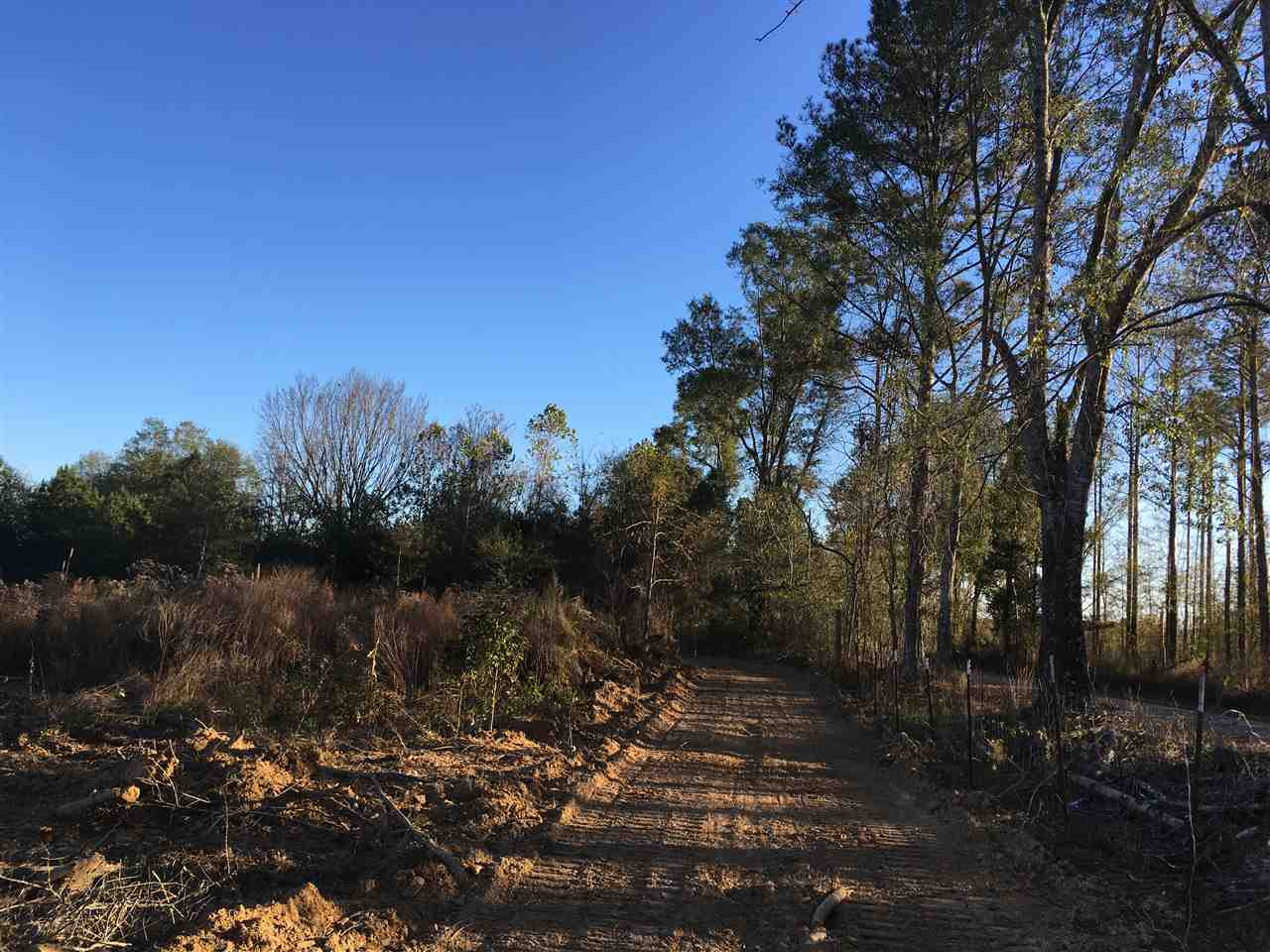 2 Turner Road Forest, MS 39074 - Photo 6 of 9 Photo 6