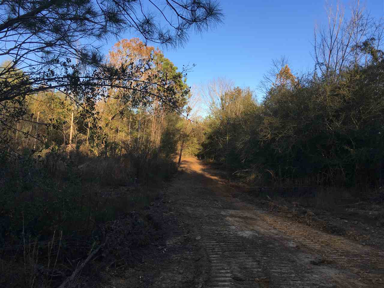 2 Turner Road Forest, MS 39074 - Photo 7 of 9 Photo 7