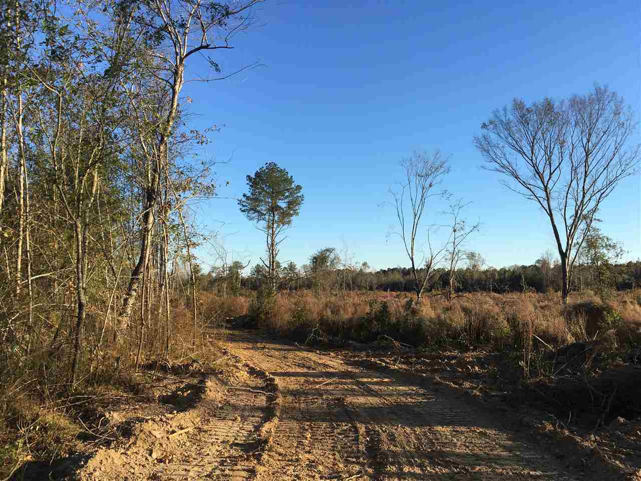 2 Turner Road Forest, MS 39074 - Photo 8 of 9 Photo 8