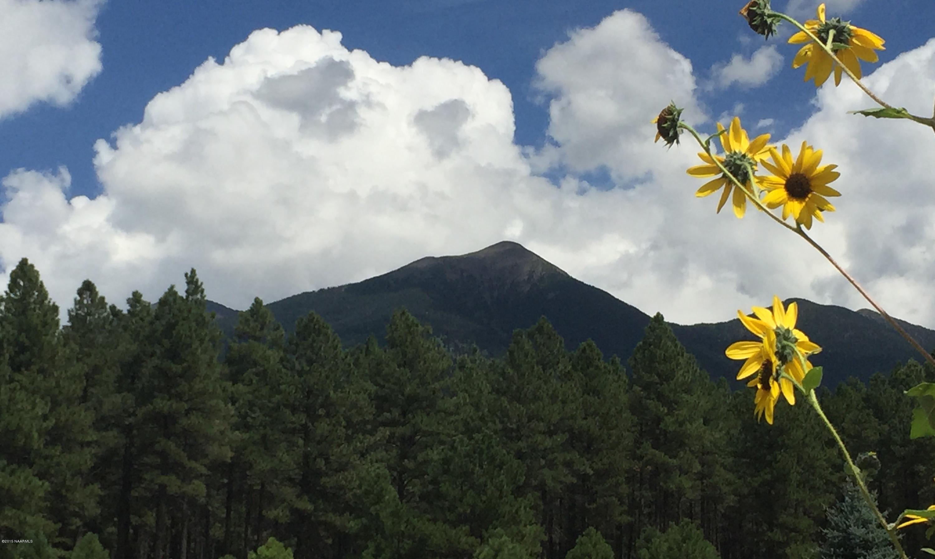 8875 North Snow Bowl Ranch Road Flagstaff, AZ 86001 - Photo 1 of 11 first