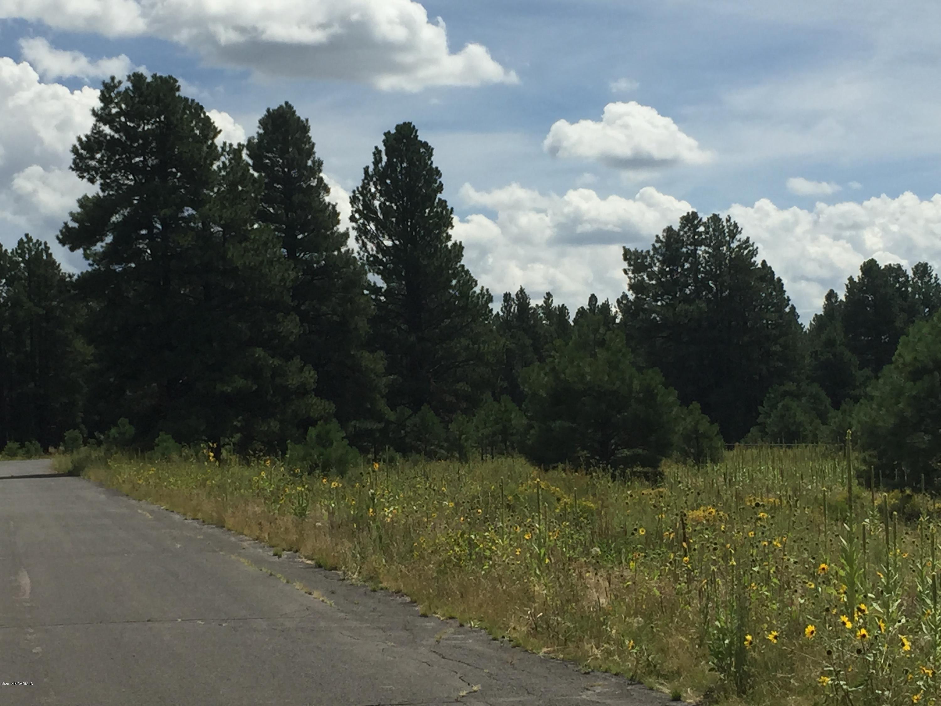 8875 North Snow Bowl Ranch Road Flagstaff, AZ 86001 - Photo 11 of 11 Easy Access