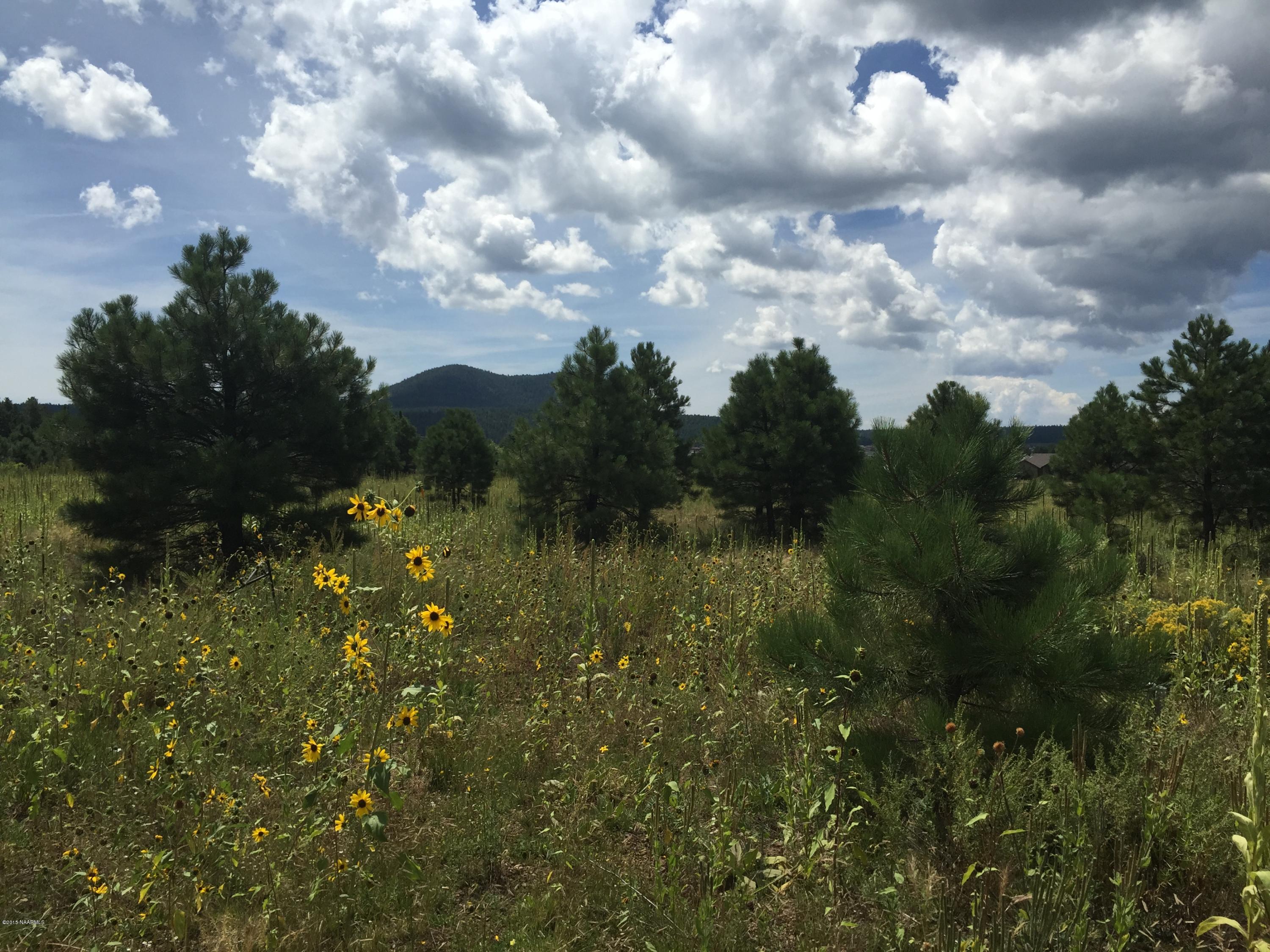 8875 North Snow Bowl Ranch Road Flagstaff, AZ 86001 - Photo 2 of 11 Doesnt get any better