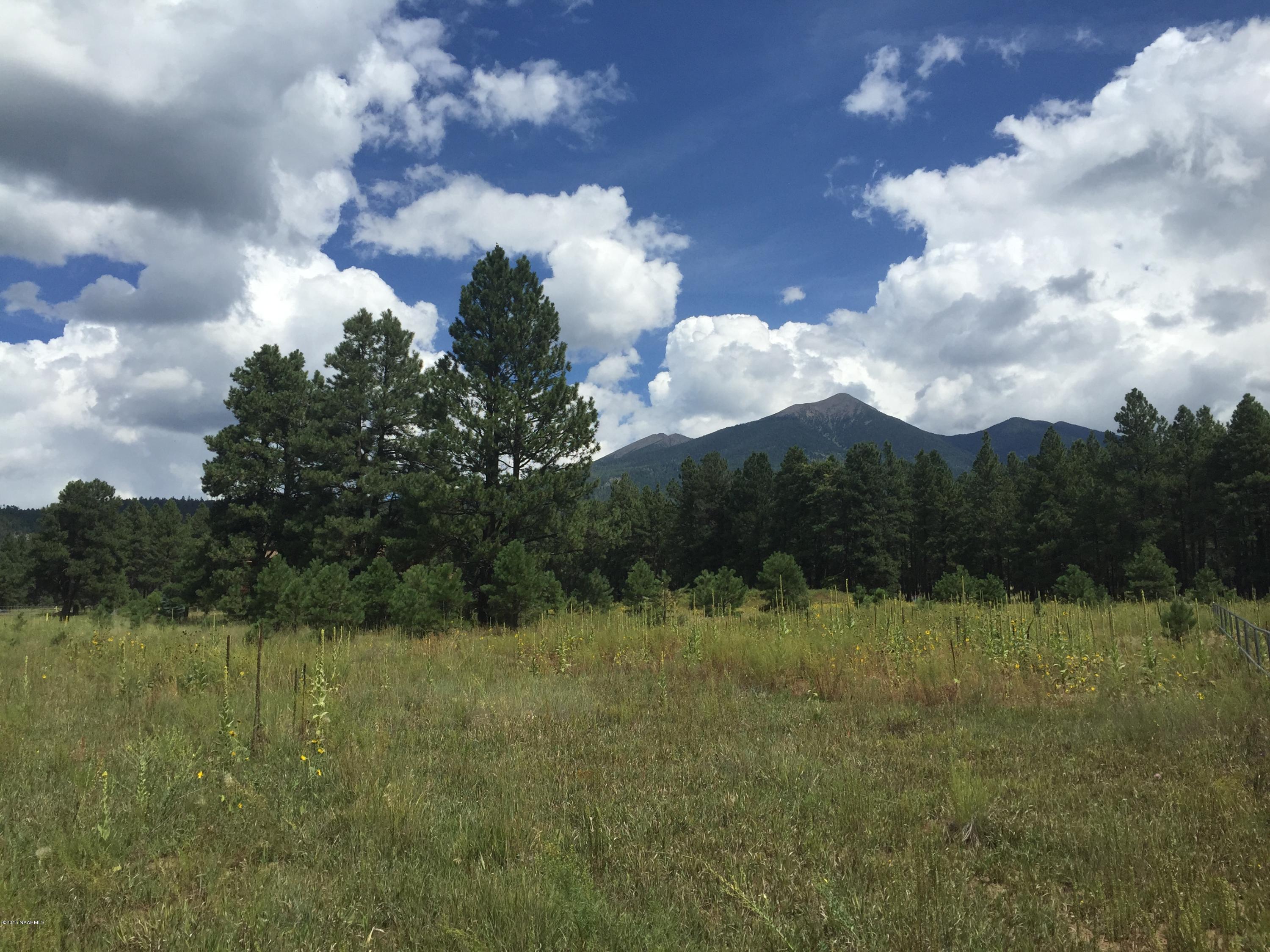 8875 North Snow Bowl Ranch Road Flagstaff, AZ 86001 - Photo 3 of 11 Amazing Snowbowl Ranch