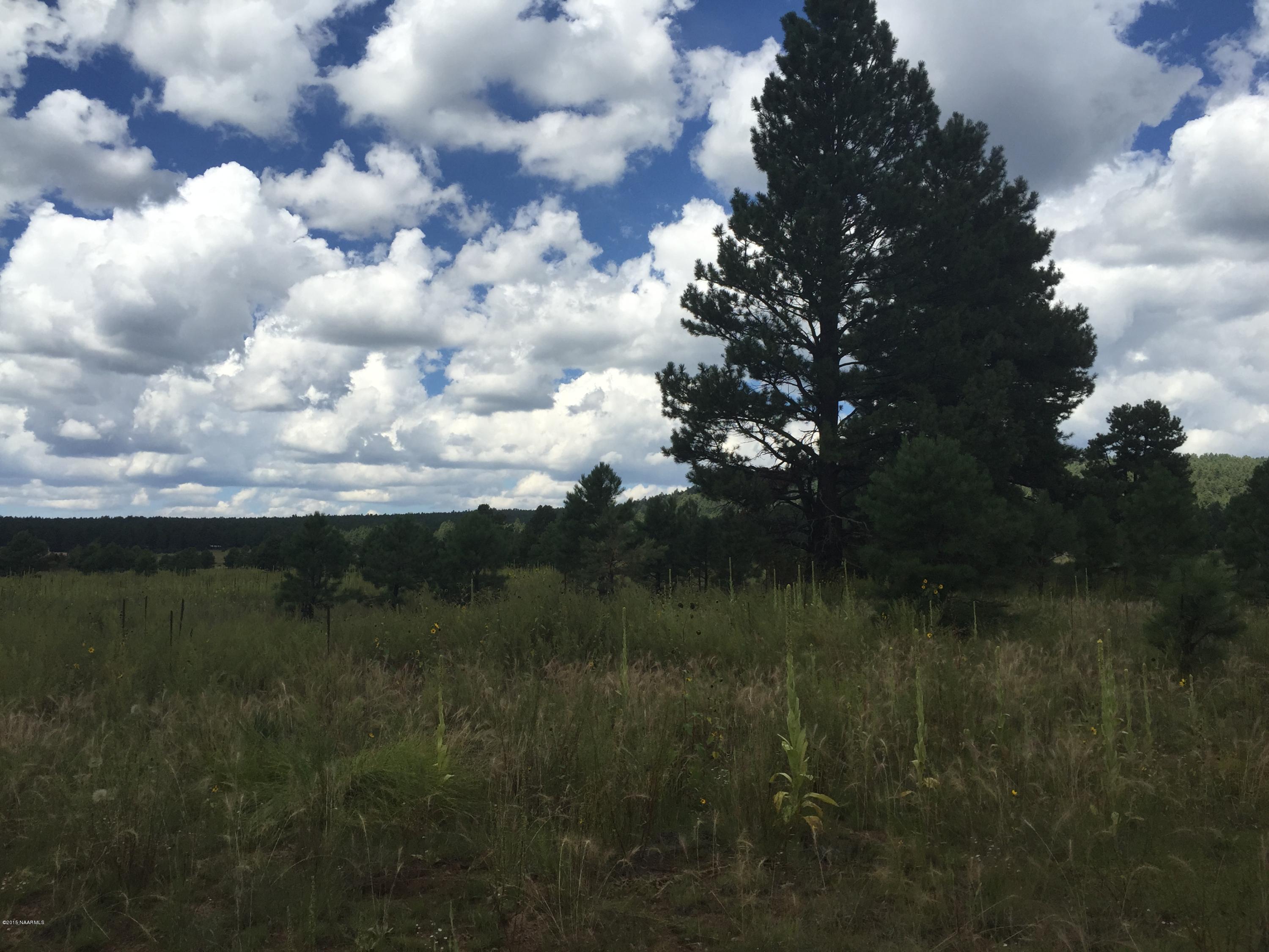 8875 North Snow Bowl Ranch Road Flagstaff, AZ 86001 - Photo 7 of 11 Perfect Weather