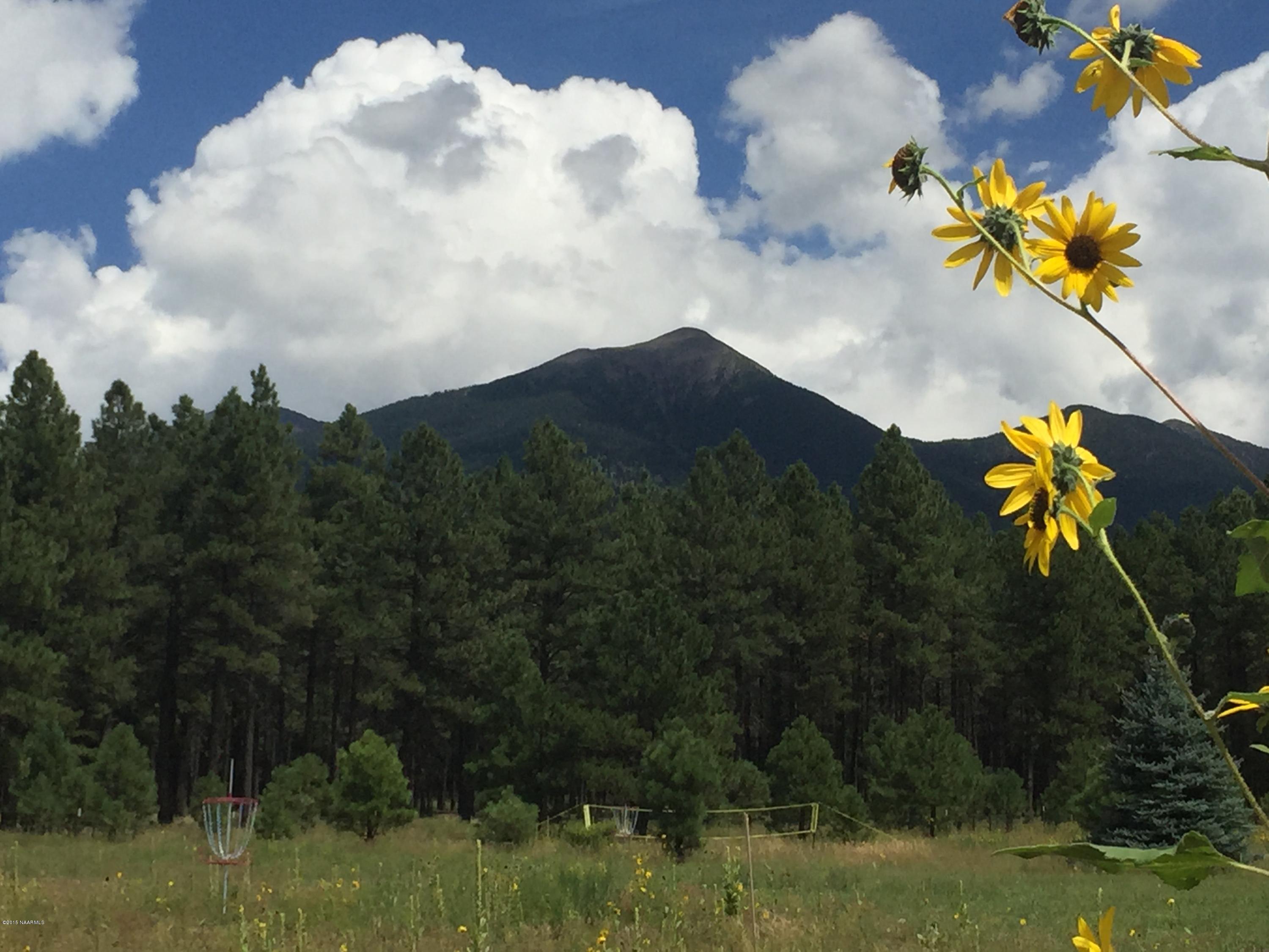 8875 North Snow Bowl Ranch Road Flagstaff, AZ 86001 - Photo 8 of 11 Gorgeous Peak Views