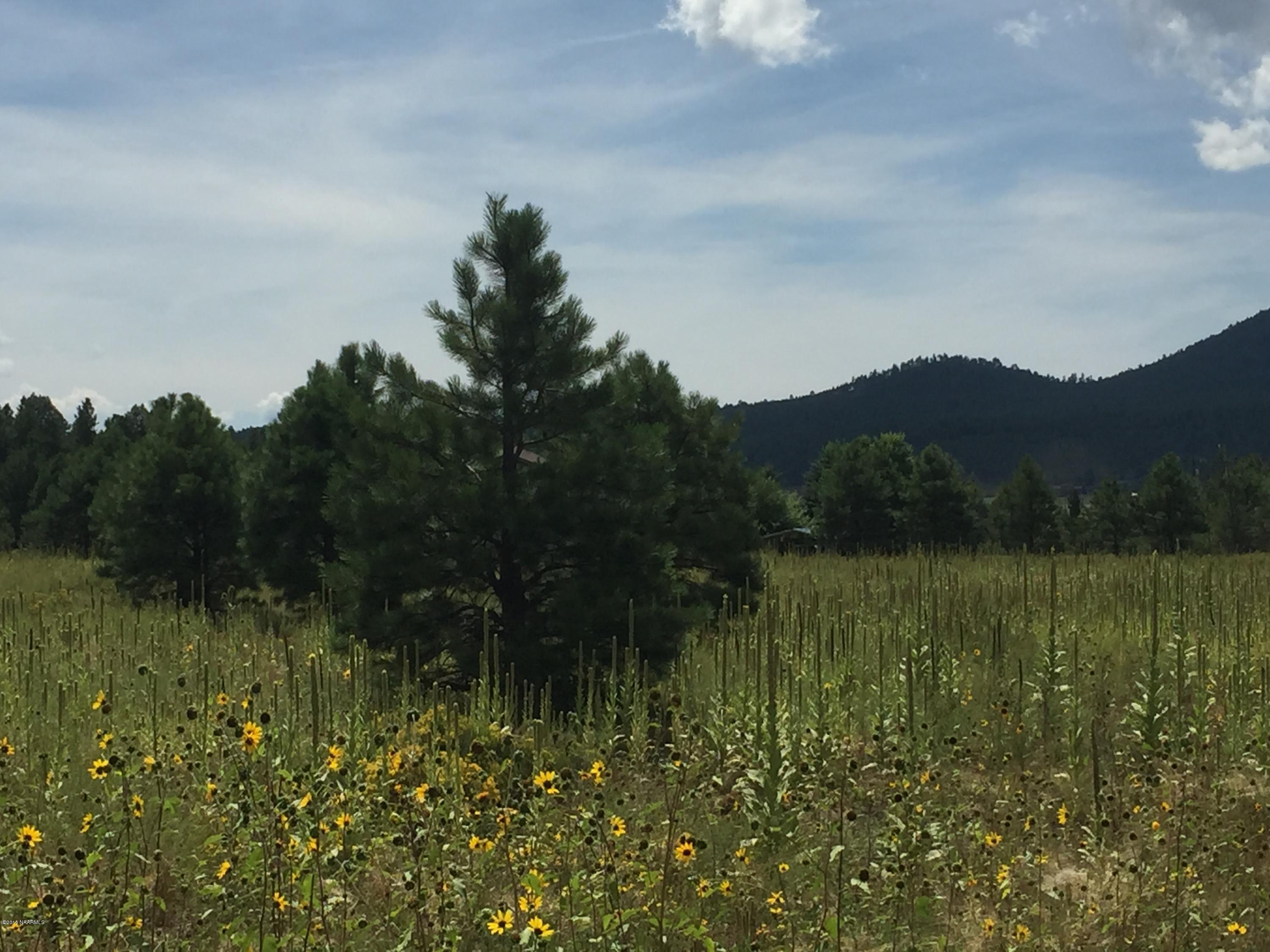 8875 North Snow Bowl Ranch Road Flagstaff, AZ 86001 - Photo 10 of 11 Your Dream Home