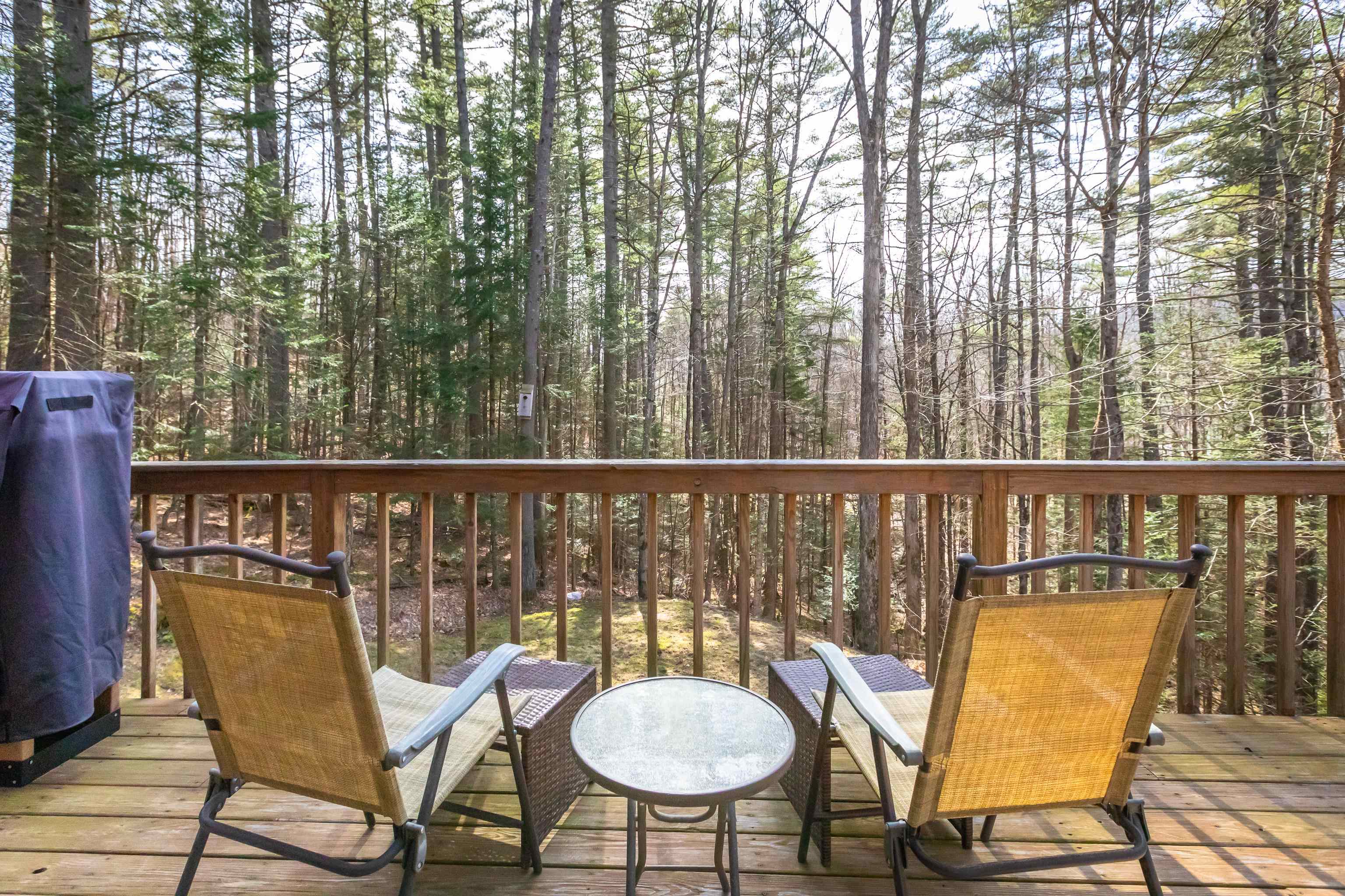 73 Draper Mill Road Grantham, NH 03753 - Photo 4 of 29 Gallery Image 4