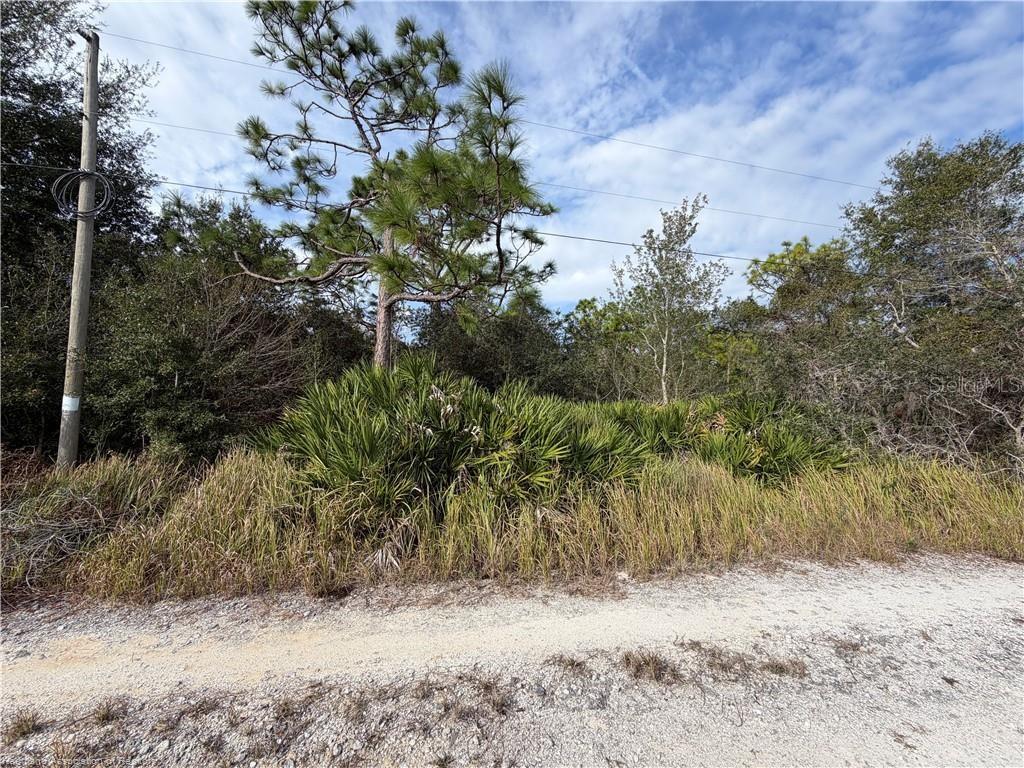 1305 North Roberts Road Avon Park, FL 33825 - Photo 3 of 3 a view of a dry yard