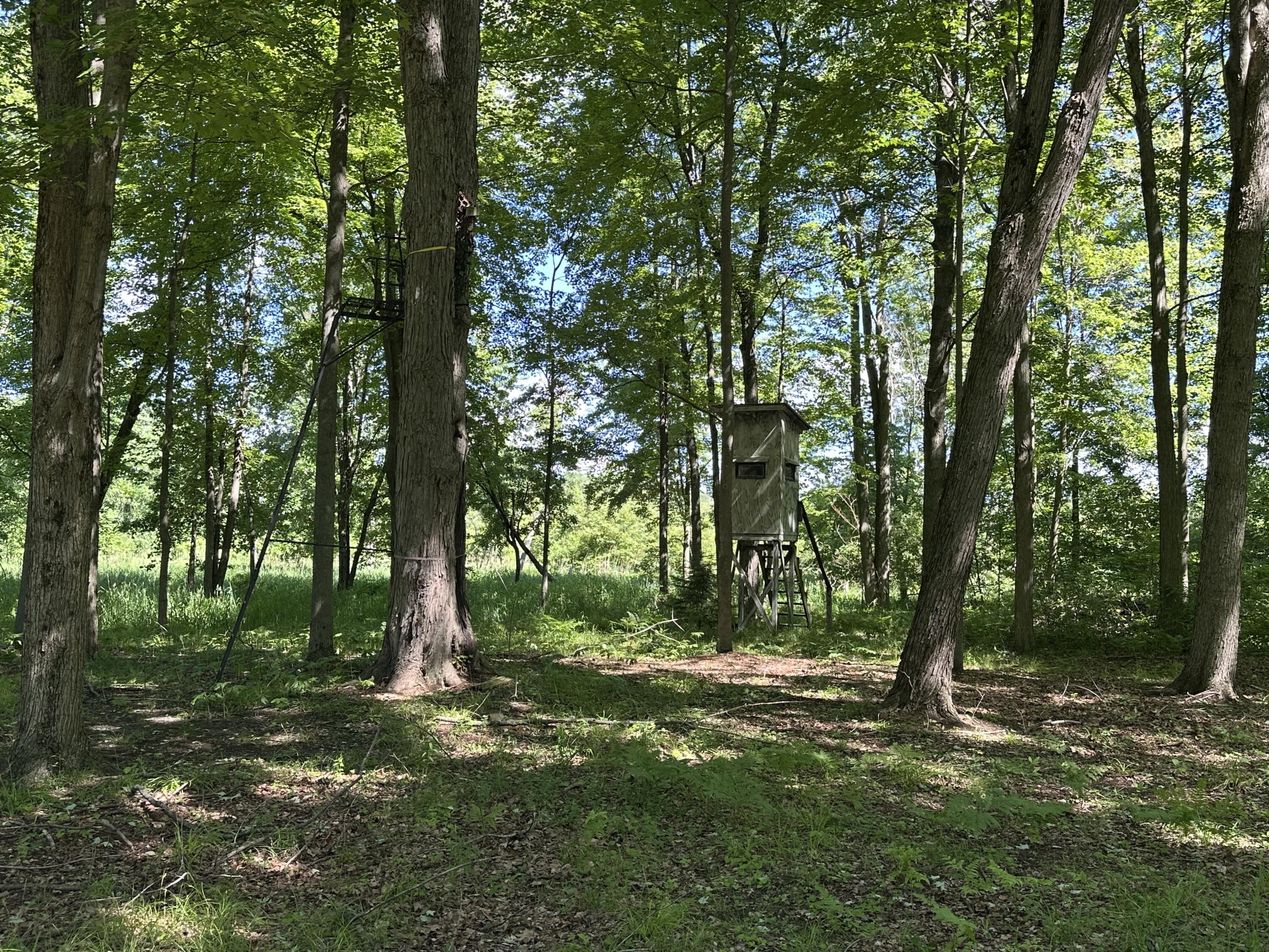 4485 South Miles Road Sheridan, MI 48884 - Photo 63 of 79 IMG_3670