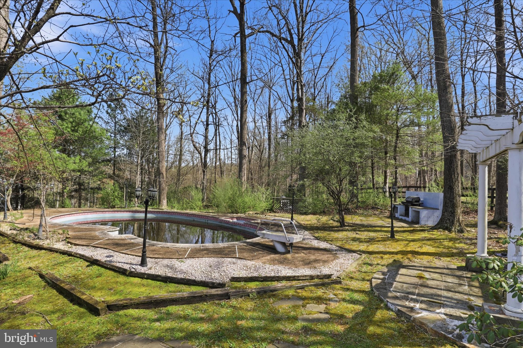 7501 Evans Ford Road Clifton, VA 20124 - Photo 41 of 74 In-ground pool surrounded by nature